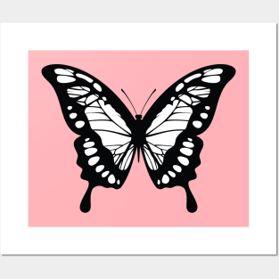 Butterflies Cute Posters and Art